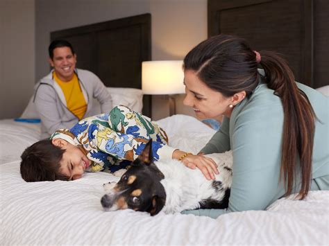 pet friendly hotels jacksonville beach|Hôtels acceptant les animaux de compagnie à Jacksonville。